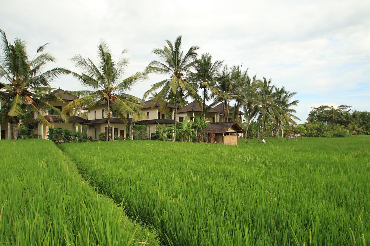 Uma Capung Mas Cottage Убуд Екстер'єр фото
